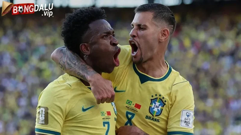 Phong Do Gan Day Cua Brazil Vs Nhat Ban